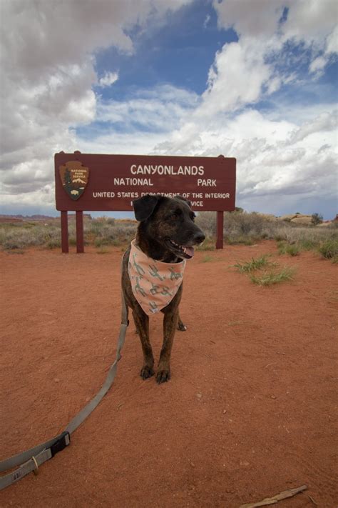 A Visit To Canyonlands National Park In Utah Is A Must Do For Rvers From The Incredible Camping
