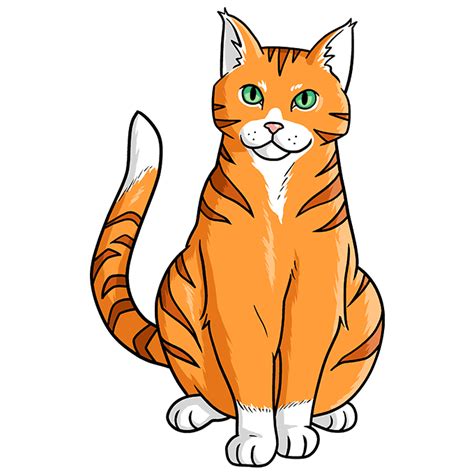 How To Draw An Orange Tabby Cat Really Easy Drawing Tutorial