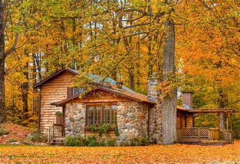 Little cabin in the woods: 7 things cottage owners should know before buying a ...