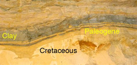 The Best Cretaceous Paleogene Boundary Yet Wooster Geologists