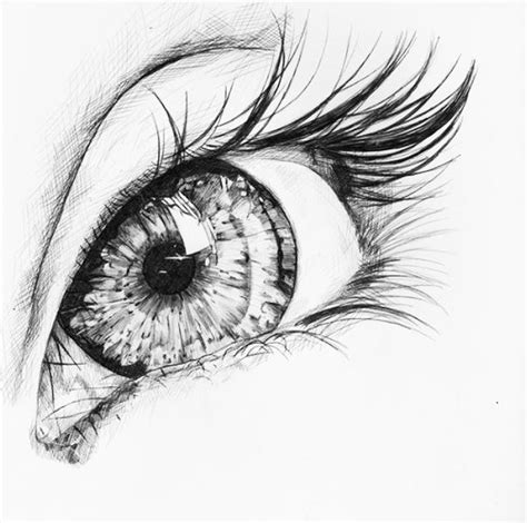Beauty Drawings Eye Art Art