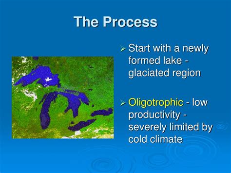 Ppt Lake Succession Powerpoint Presentation Free Download Id2410762