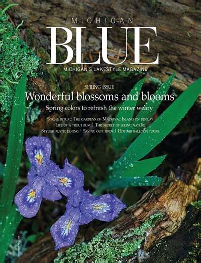 Michigan Blue Magazine Subscription Canada