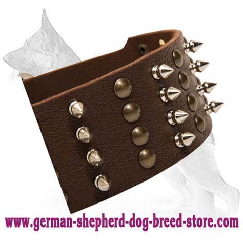 Noble Spiked Studded Leather Collar German Shepherd Breed Dog