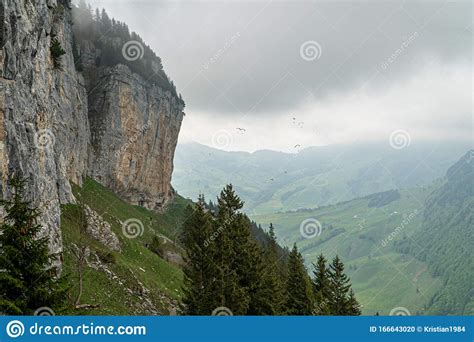 Mountains Tops With Green Trees Covered By Fog Swiss Alps Stock Photo