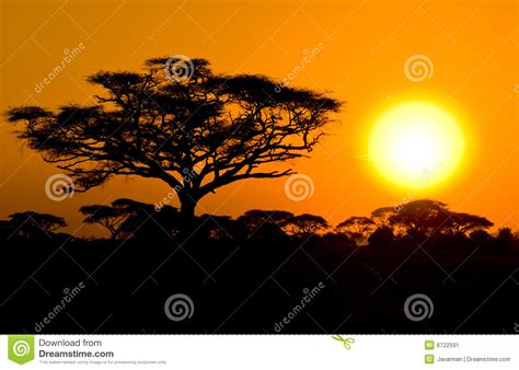 African Sunset In Savannah Stock Image Image Of Amboseli 6722591