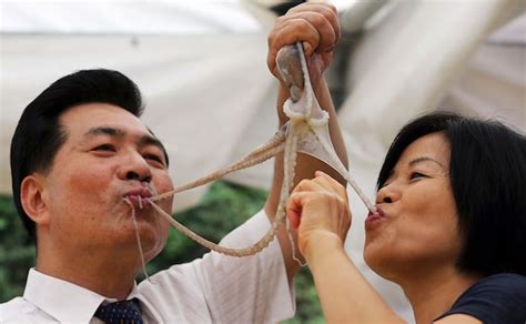Photos Did You Know South Koreans Eat Live Octopus For Fun World News