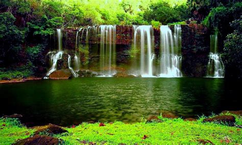 Waterfall In The Thick Green Forest River Pond Weed Hd Wallpapers For