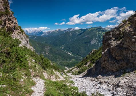 Parco Naturale Regionale Delle Dolomiti Friulane Foto E Immagini