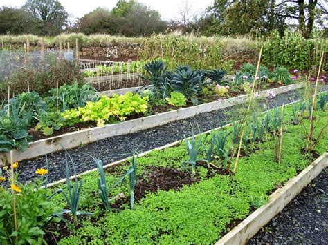 Kellis Northern Ireland Garden Inspiration On Growing Veg