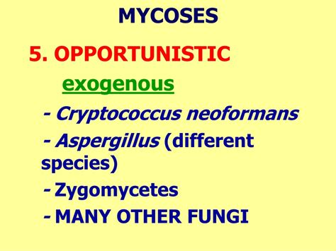 Ppt Opportunistic Fungal Infections Powerpoint Presentation Free
