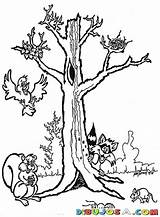 Colorear Para Tree Con Dibujos Animales Bosque Del Coloring Arbol Colouring Pintar Un Gum Trees Varios Los Lrg Animal Medio sketch template