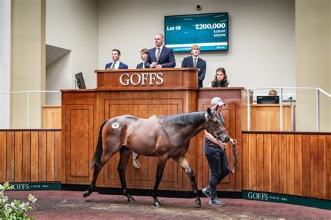 all the news from the first day of the goffs doncaster premier yearling sale