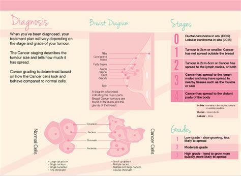 12 Breast Cancer Brochure Templates Free Psd Ai Illustrator Pdf