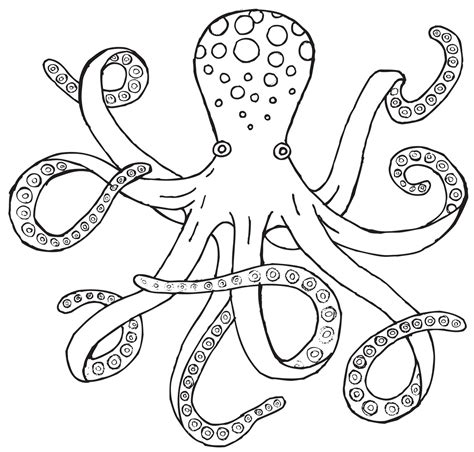 Octopus Clipart Outline 20 Free Cliparts Download Images On