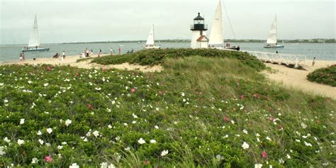 Nantucket Island Autumn Cranberry Festival