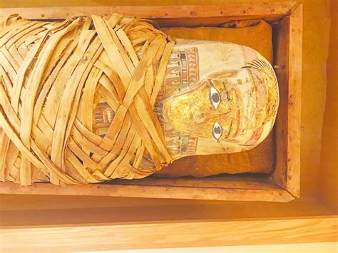 library to celebrate the 100th anniversary of king tut s discovery eagle news online