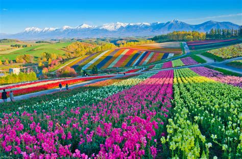 Hokkaido-Biei-Japan - Charming Travel Destinations