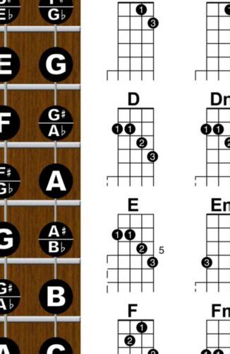Banjo Chord Wall Chart Poster Fretboard Standard C Tuning 5 String