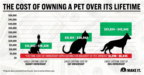 Quotes may also differ according to the dog or cat breed. How much does it cost to own a dog: 7 times more than you ...