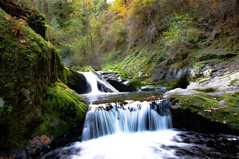 Sweet Creek Falls Oregon Photograph By Dragon Photography