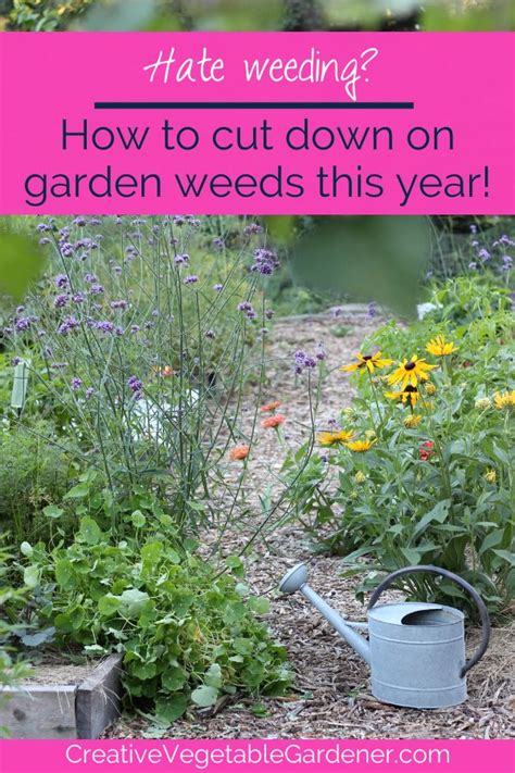 Check spelling or type a new query. Why mulch is the ultimate garden tool - Creative Vegetable ...