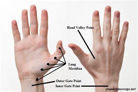 Titik Refleksi Tangan Dan Manfaat Untuk Kesehatan Popular Massage Dan Spa