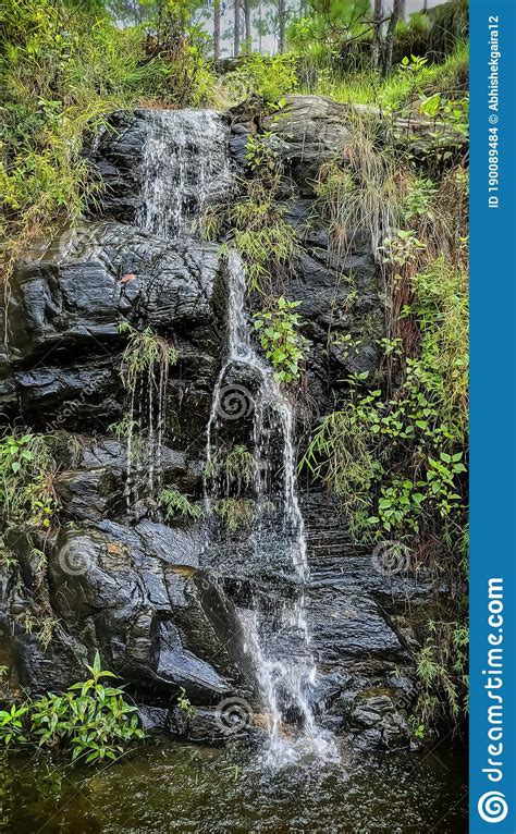 Mini Waterfall In Forest Stock Photo Image Of Tree 190089484
