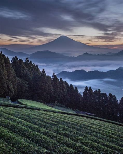 清水区吉原の雲海富士山絶景撮影 絶景撮りたいcom