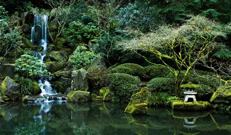 Pond Nature Rocks Portland Oregon Portland Japanese Garden Wallpaper