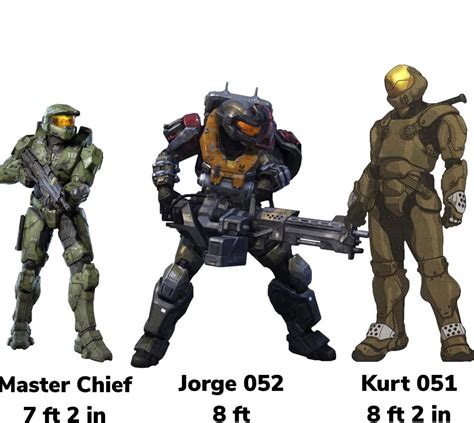 Size Of Some Characters Spartans In Armor Rhalo