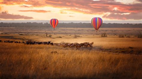 2023 Maasai Mara Travel Guide Expedia Philippines