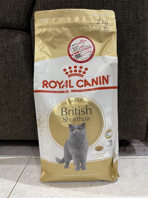 Royal Canin British Shorthair Dry Food 2kg Pet Supplies Pet Food On