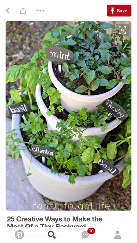 Pin By Ashley B On New Place Diy Herb Garden Plants Herbs