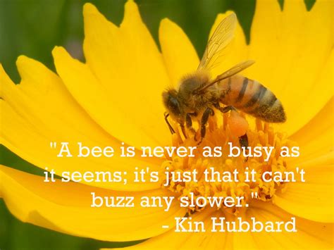 A Bee Is Never As Busy As It Seems Its Just That It Cant Buzz Any