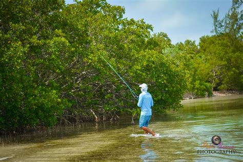 Fly Fishing In Belize Everything You Need To Know