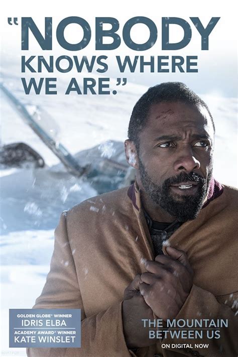 Kate Winslet And Idris Elba Star In The Mountain Between Us On Digital