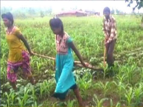Madhya Pradesh Financial Crisis Forces Farmer To Use Daughters To Pull