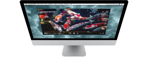 This tutorial reviews and compares the most popular media players for windows 10 and mac: Best media player for Mac: Elmedia Player