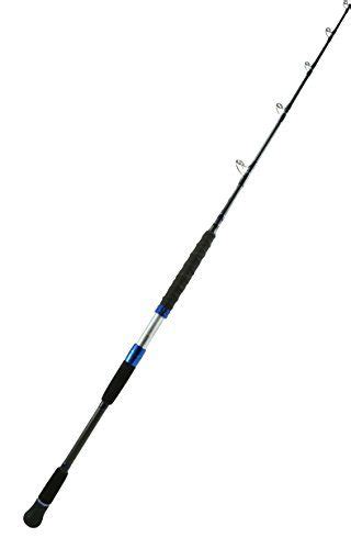 10 Best Jigging Rods In 2022 Reviewed By Fishing Enthusiasts Globo Surf