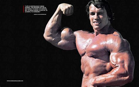 Arnold Schwarzenegger Conquer Wallpaper 73 Images