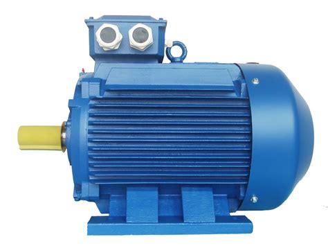 High Voltage 3 Phase Induction Motor Squirrel Cage Induction Motor