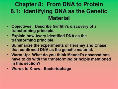 From dna to proteins i. PPT - Chapter 8: From DNA to Protein 8.1: Identifying DNA as the Genetic Material PowerPoint ...