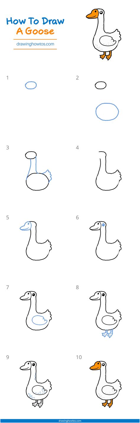 How To Draw A Goose Step By Step Easy Drawing Guides Drawing Howtos