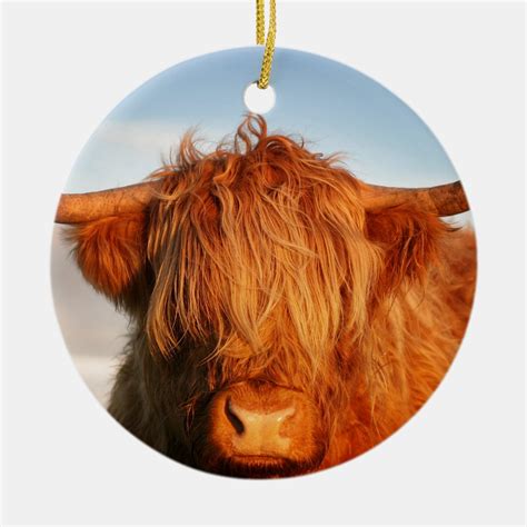 Scottish Highland Cow Scotland Ceramic Ornament Zazzle