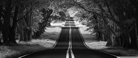 Road Landscape Aesthetic Black And White Ultra Hd