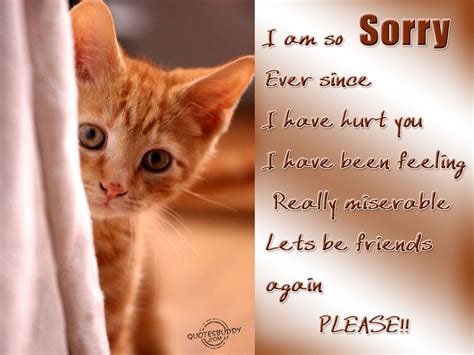 Im Sorry I Hurt You Quotes For Him QuotesGram