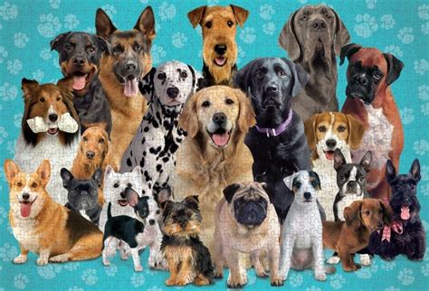 Jigsaw Puzzle Dogs 1000 Piece Paper House Productions Top Dog