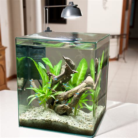 Best 5 Gallon Fish Tank And Aquarium Kit For Sale Now Reviews 2023