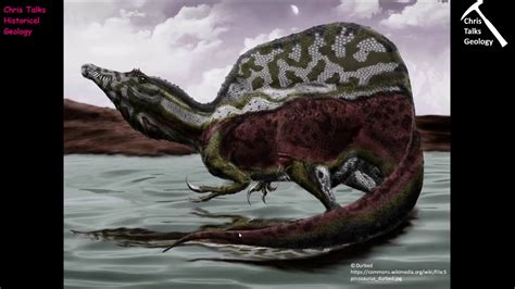 Mesozoic Life History Part 1 Part 3 Youtube